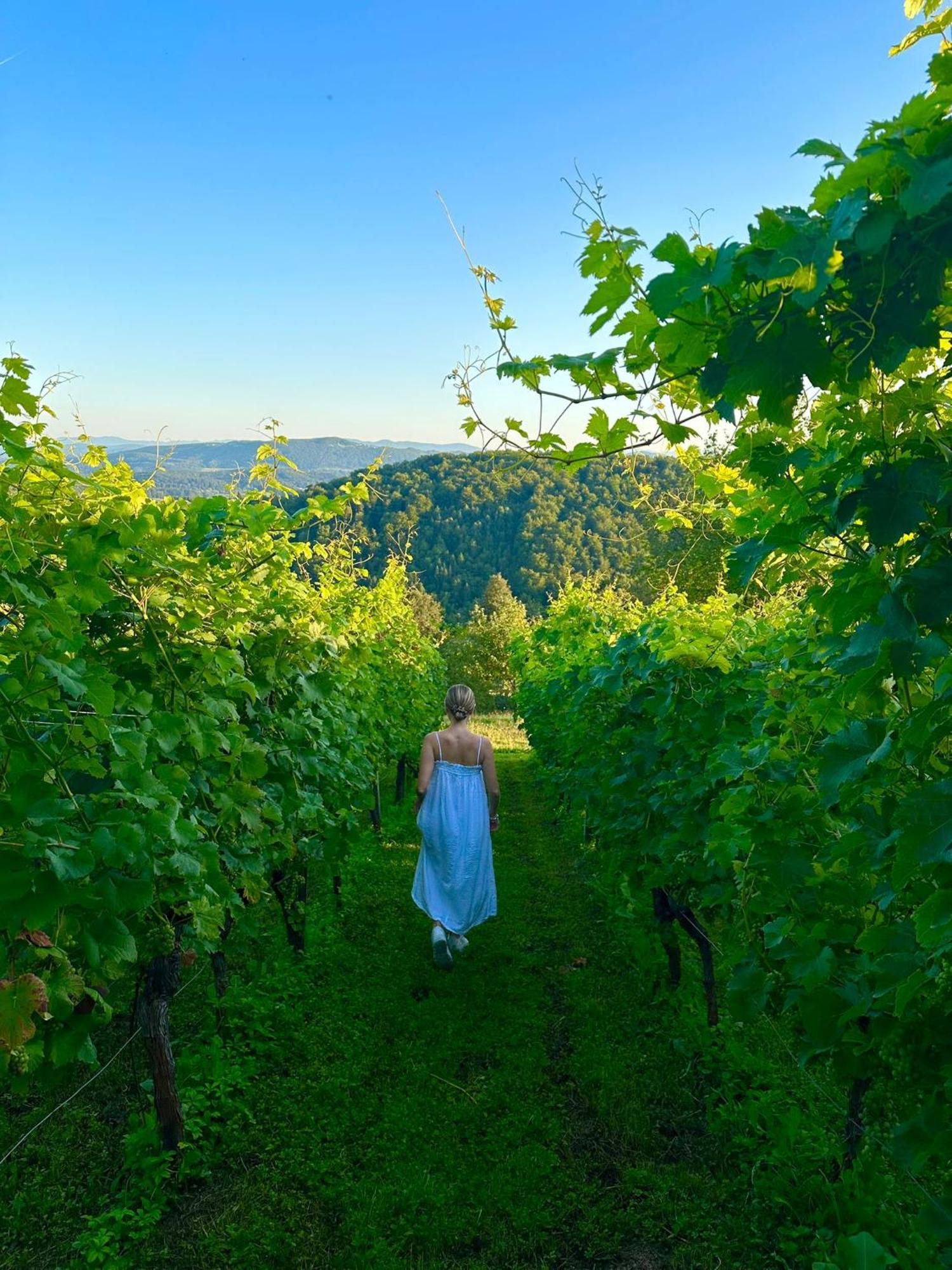 Zerko Holiday Home - Vineyard Chalet With Sauna And Jacuzzi Free Mirna Extérieur photo