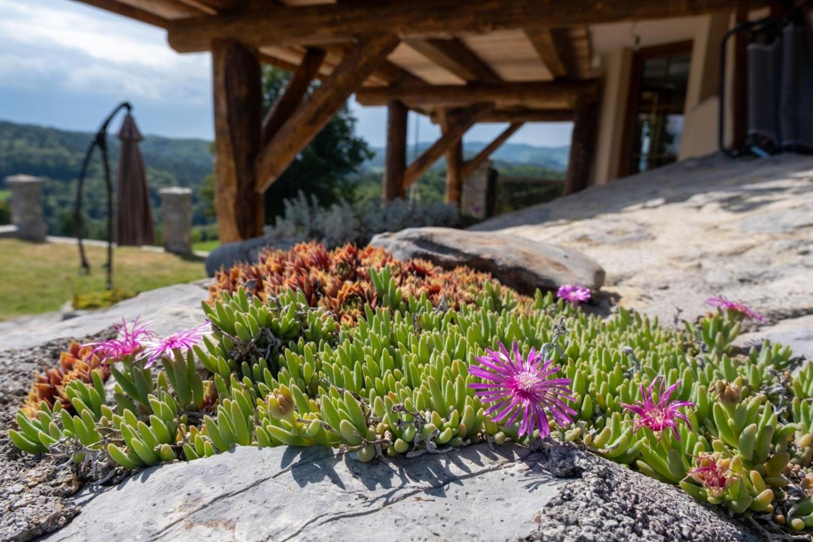 Zerko Holiday Home - Vineyard Chalet With Sauna And Jacuzzi Free Mirna Extérieur photo