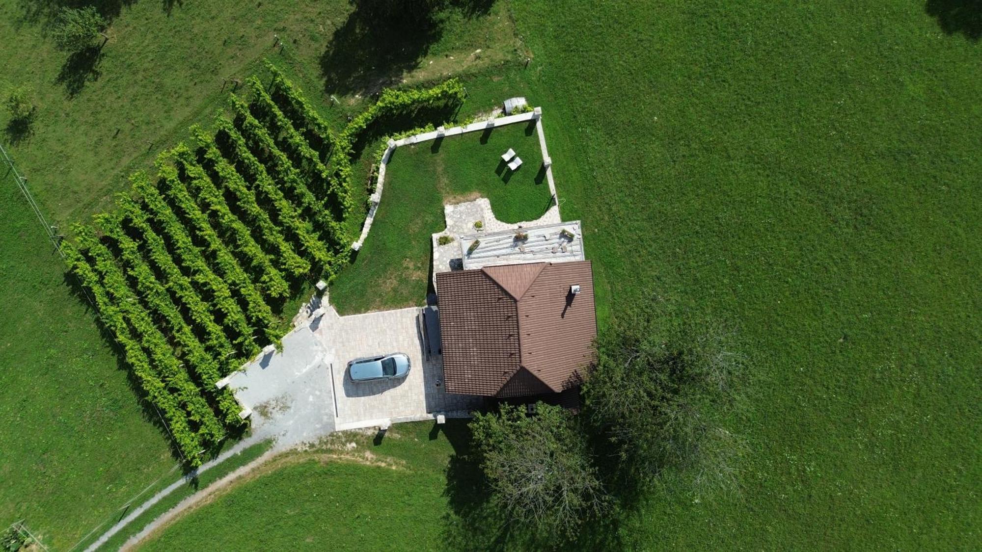 Zerko Holiday Home - Vineyard Chalet With Sauna And Jacuzzi Free Mirna Extérieur photo